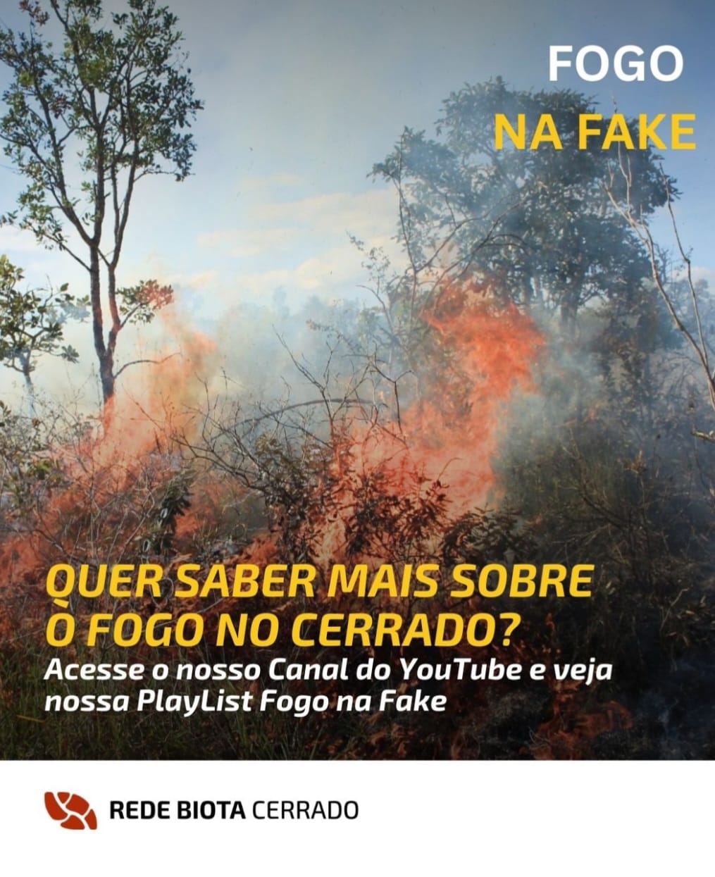 Fogo na Fake